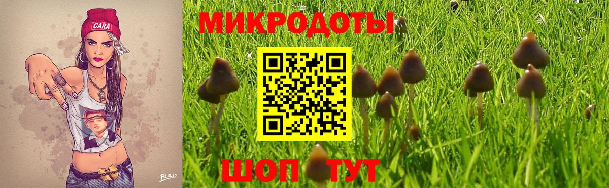 Псилоцибиновые грибы Cubensis  Псилоцибиновые грибы ЛСД  Архангельск  Вход с VPN 